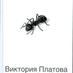 8-9-8: Виктория Платова
