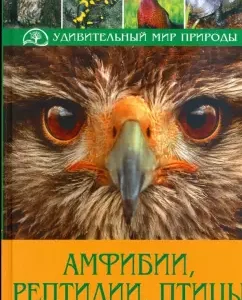 Амфибии