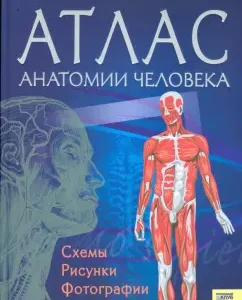 Атлас анатомии человека