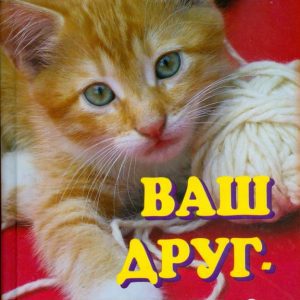 Ваш друг - кошка: Ольга Кубышко