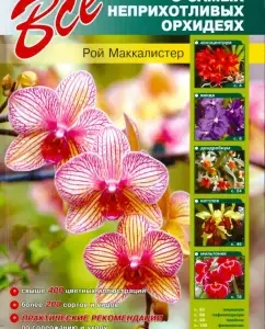 Все о самых неприхотливых орхидеях: Рой Маккалистер