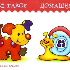 Всё такое домашнее: Елена Янушко