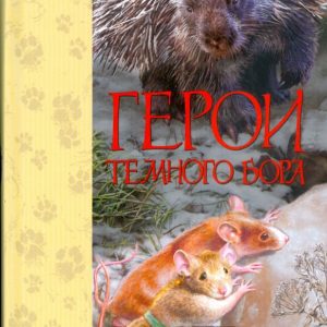 Герои Темного Бора: Эйви