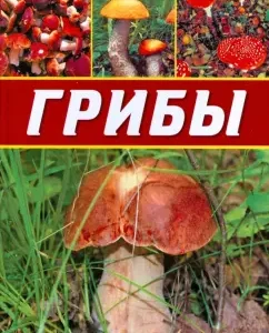 Грибы. Энциклопедия: Наталья Аристамбекова