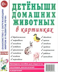 Детеныши домашних животных в картинках. Наглядное пособие для педагогов