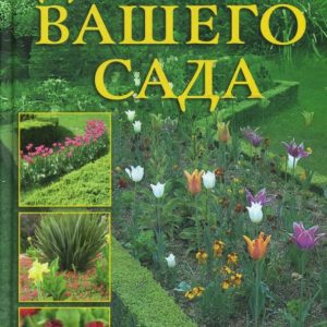 Дизайн вашего сада. Современные идеи и профессиональные советы.: Людмила Шульгина