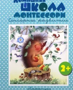 Домашняя школа Монтессори. 2-4 года: Константин Сумнительный