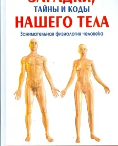 Загадки