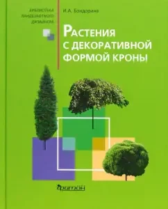 Растения с декоративной формой кроны: Ирина Бондорина