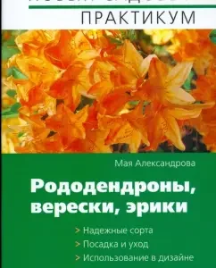Рододендроны